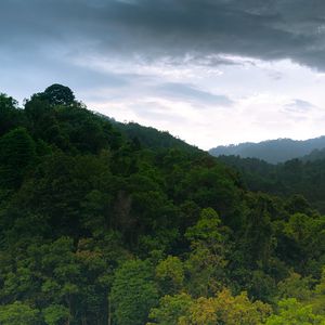 Preview wallpaper hill, forest, trees, sky