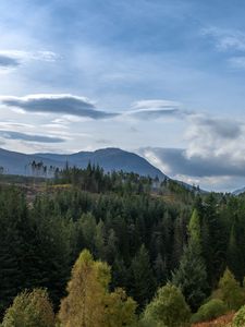 Preview wallpaper hill, forest, trees, sky, clouds