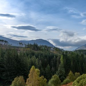 Preview wallpaper hill, forest, trees, sky, clouds