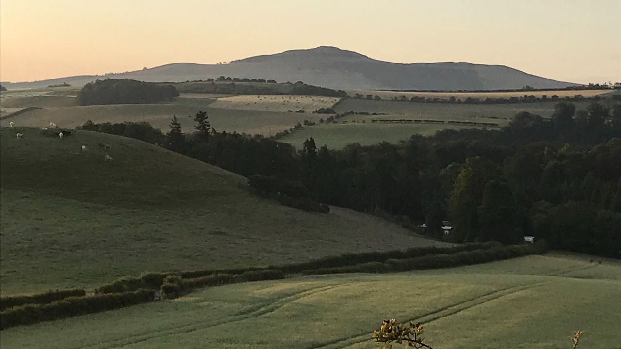 Wallpaper hill, grass, arable land, landscape