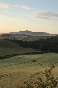 Preview wallpaper hill, grass, arable land, landscape