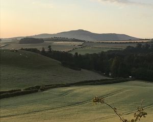 Preview wallpaper hill, grass, arable land, landscape