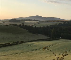 Preview wallpaper hill, grass, arable land, landscape