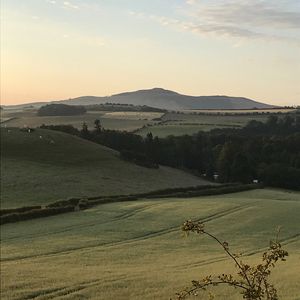 Preview wallpaper hill, grass, arable land, landscape