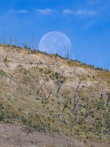 Preview wallpaper hill, grass, moon, nature