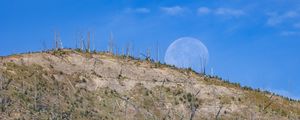 Preview wallpaper hill, grass, moon, nature