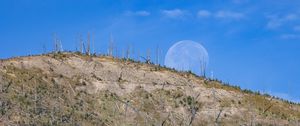 Preview wallpaper hill, grass, moon, nature