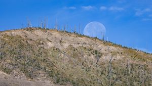 Preview wallpaper hill, grass, moon, nature