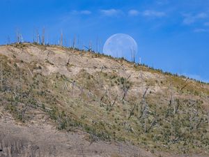 Preview wallpaper hill, grass, moon, nature