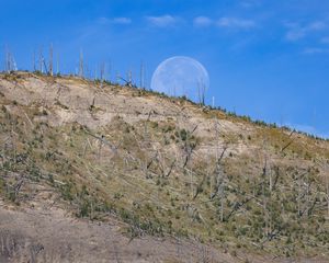 Preview wallpaper hill, grass, moon, nature