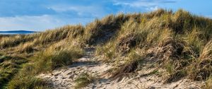 Preview wallpaper hill, grass, sand, nature