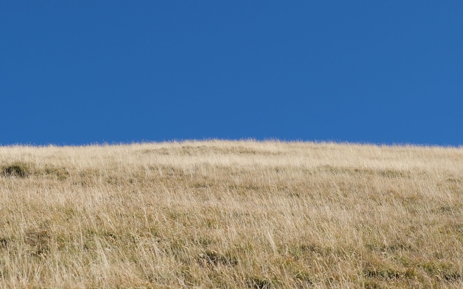 Download wallpaper 1920x1200 hill, grass, sky, landscape, nature ...