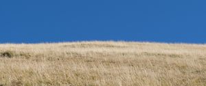 Preview wallpaper hill, grass, sky, landscape, nature