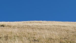 Preview wallpaper hill, grass, sky, landscape, nature