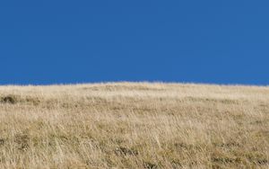 Preview wallpaper hill, grass, sky, landscape, nature