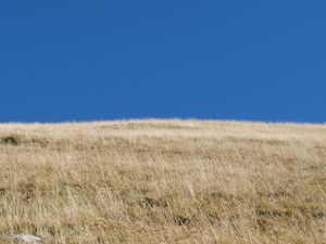 Preview wallpaper hill, grass, sky, landscape, nature