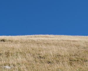 Preview wallpaper hill, grass, sky, landscape, nature