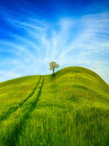 Preview wallpaper hill, grass, tree, sky, road