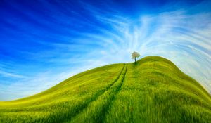 Preview wallpaper hill, grass, tree, sky, road