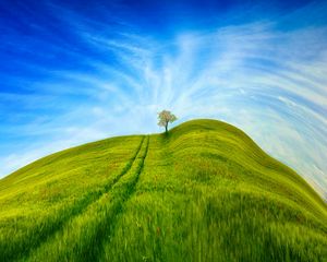 Preview wallpaper hill, grass, tree, sky, road