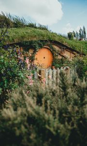 Preview wallpaper hill, house, cave, door, flowers