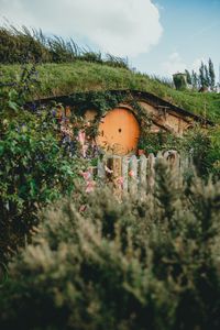 Preview wallpaper hill, house, cave, door, flowers