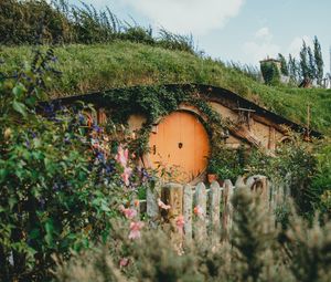 Preview wallpaper hill, house, cave, door, flowers