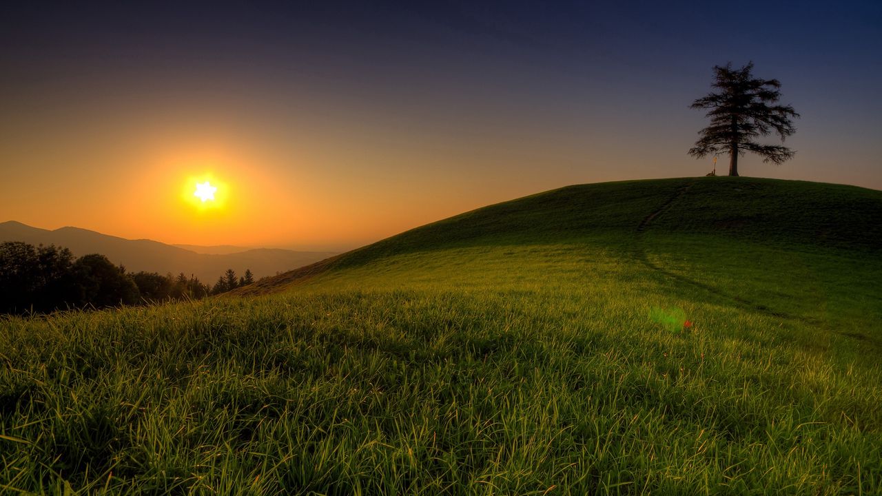 Wallpaper hill, light, sun, tree, green, grass, summer, evening, serenity