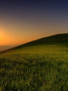 Preview wallpaper hill, light, sun, tree, green, grass, summer, evening, serenity