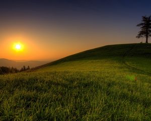 Preview wallpaper hill, light, sun, tree, green, grass, summer, evening, serenity