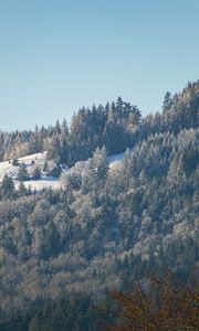 Preview wallpaper hill, mountain, slope, trees, forest, winter, landscape