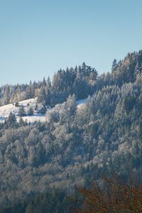 Preview wallpaper hill, mountain, slope, trees, forest, winter, landscape