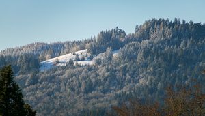 Preview wallpaper hill, mountain, slope, trees, forest, winter, landscape