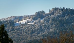 Preview wallpaper hill, mountain, slope, trees, forest, winter, landscape