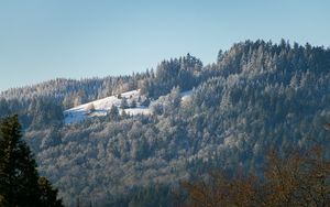Preview wallpaper hill, mountain, slope, trees, forest, winter, landscape