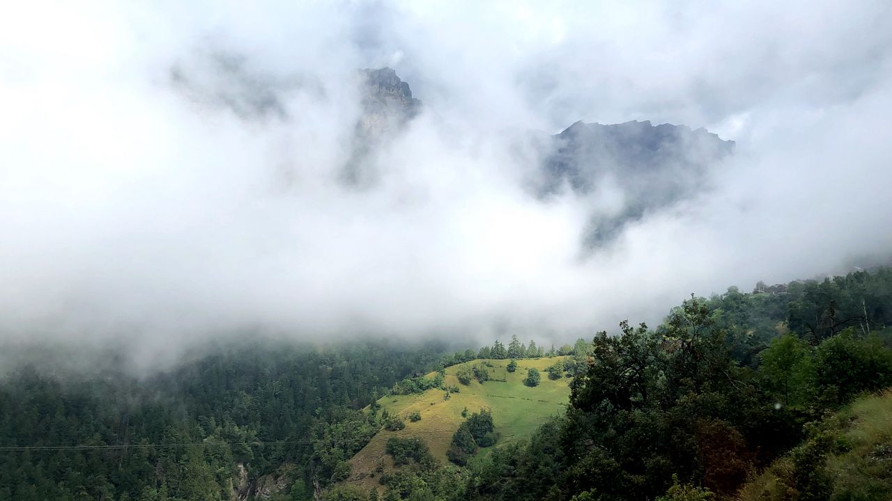 Wallpaper hill, mountains, trees, fog, clouds, landscape