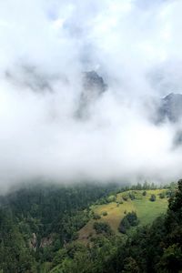 Preview wallpaper hill, mountains, trees, fog, clouds, landscape