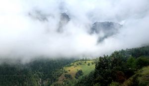 Preview wallpaper hill, mountains, trees, fog, clouds, landscape