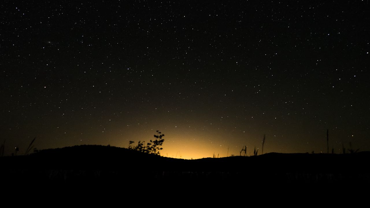 Wallpaper hill, plants, silhouettes, starry sky, night