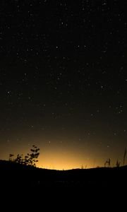 Preview wallpaper hill, plants, silhouettes, starry sky, night