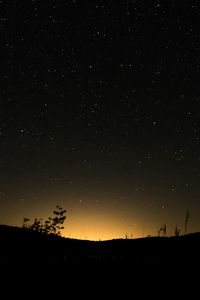 Preview wallpaper hill, plants, silhouettes, starry sky, night