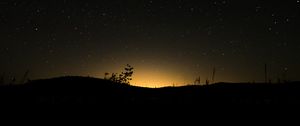 Preview wallpaper hill, plants, silhouettes, starry sky, night