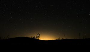 Preview wallpaper hill, plants, silhouettes, starry sky, night