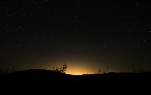 Preview wallpaper hill, plants, silhouettes, starry sky, night