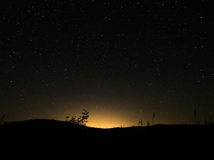 Preview wallpaper hill, plants, silhouettes, starry sky, night