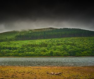 Preview wallpaper hill, river, beach, forest, trees