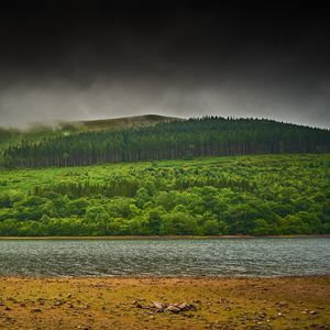 Preview wallpaper hill, river, beach, forest, trees