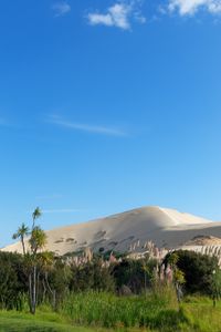 Preview wallpaper hill, sand, plants, nature, landscape