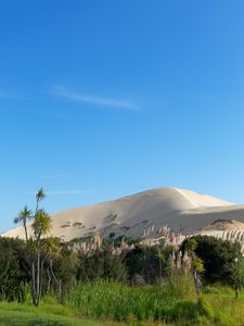 Preview wallpaper hill, sand, plants, nature, landscape