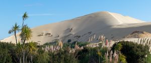 Preview wallpaper hill, sand, plants, nature, landscape